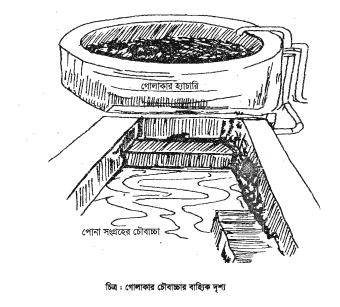 হ্যাচারি ব্যবস্থাপনা ও পরিচালনা