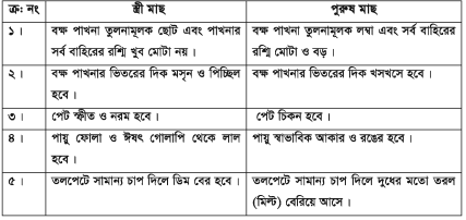 থাই কৈ মাছের জীবন বৃত্তান্ত