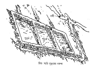 মৎস্য খামার পরিকল্পনা ও নির্মাণ