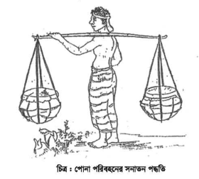 পলিথিন সীট চাষ