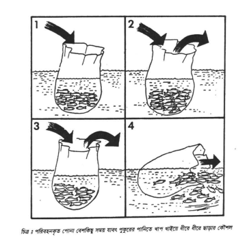 পলিথিন সীট চাষ
