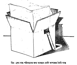 ব্রুড মাছ পালন, রেণু ও ধানী পোনা উৎপাদন পরিকল্পনা