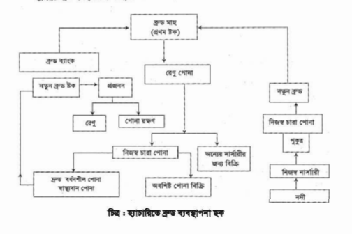 ব্রুড মাছ পালন, রেণু ও ধানী পোনা উৎপাদন পরিকল্পনা