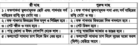 ফিশ কালচার অ্যান্ড ব্রিডিং-২ দ্বিতীয় পত্র ব্যবহারিক