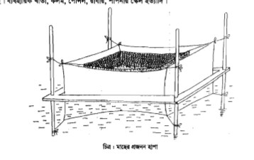 ফিশ কালচার অ্যান্ড ব্রিডিং-২ দ্বিতীয় পত্র ব্যবহারিক