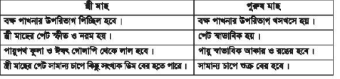 ফিশ কালচার অ্যান্ড ব্রিডিং-২ প্রথম পত্র ব্যবহারিক