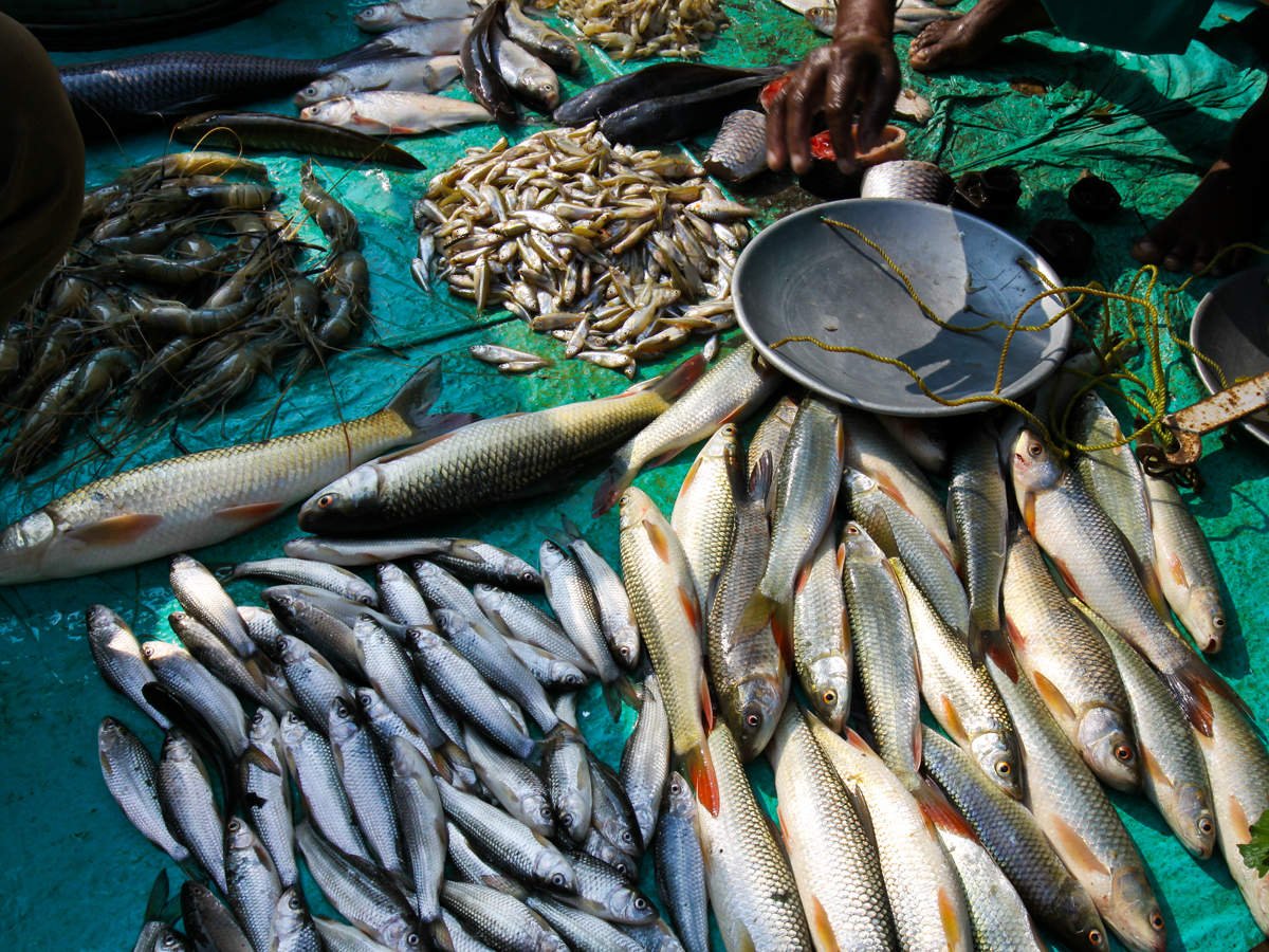 পোনার চাহিদা