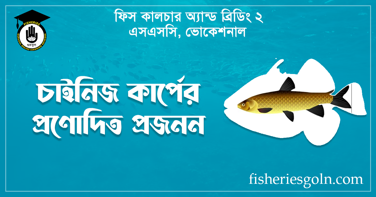 চাইনিজ কার্পের প্রণোদিত প্রজনন