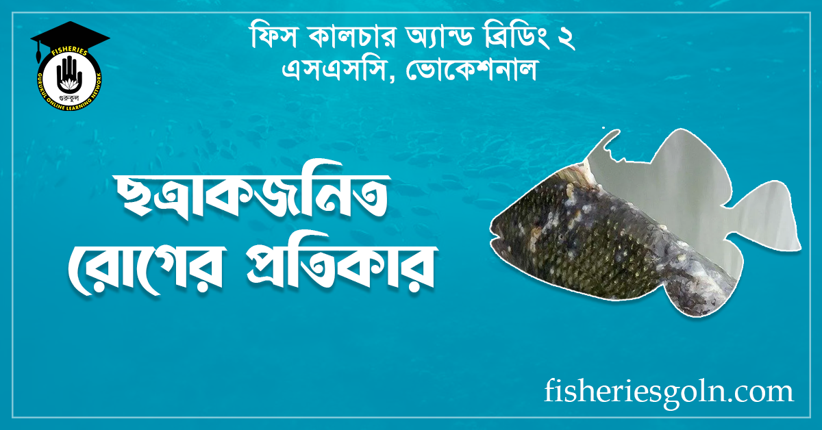 ছত্রাকজনিত রোগের প্রতিকার