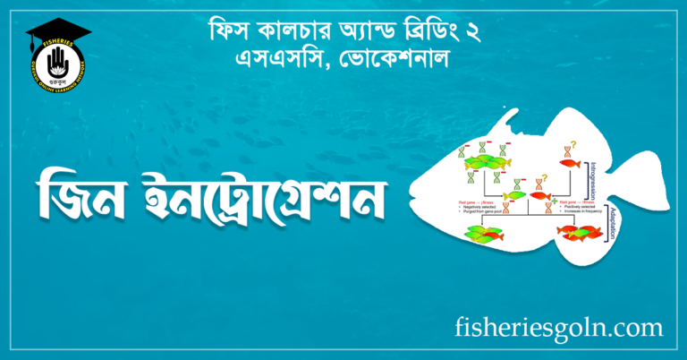 জিন ইনট্রোগ্রেশন