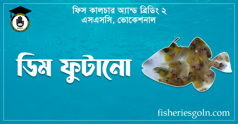 ডিম ফুটানো