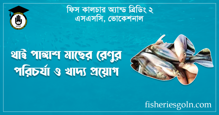 থাই পাঙ্গাশ মাছের রেণুর পরিচর্যা ও খাদ্য প্রয়োগ