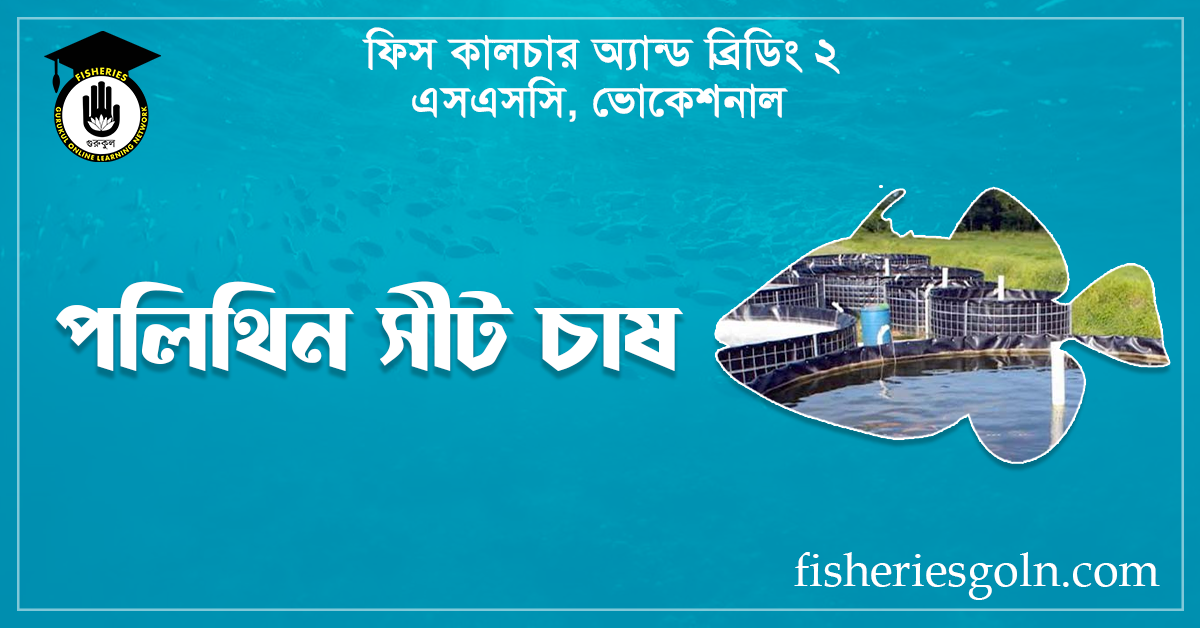 পলিথিন সীট চাষ