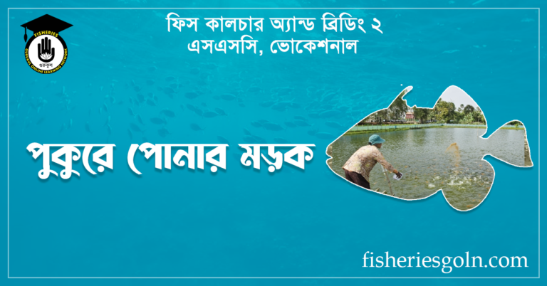 পুকুরে পোনার মড়ক