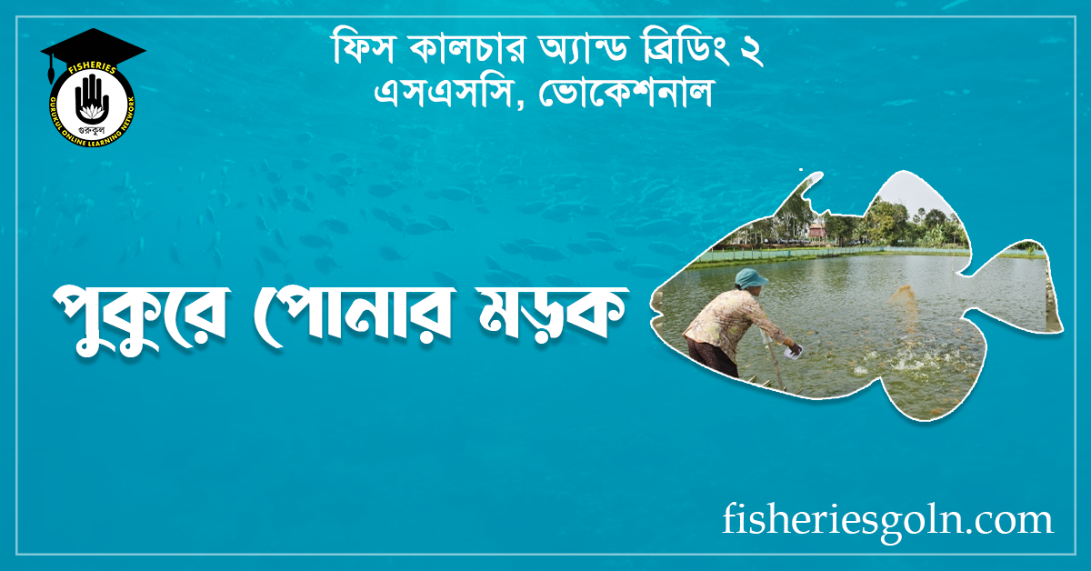 পুকুরে পোনার মড়ক