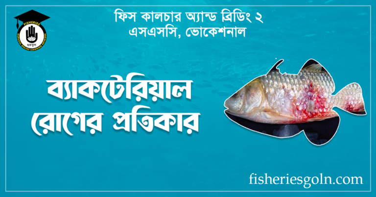 ব্যাকটেরিয়াল রোগের প্রতিকার