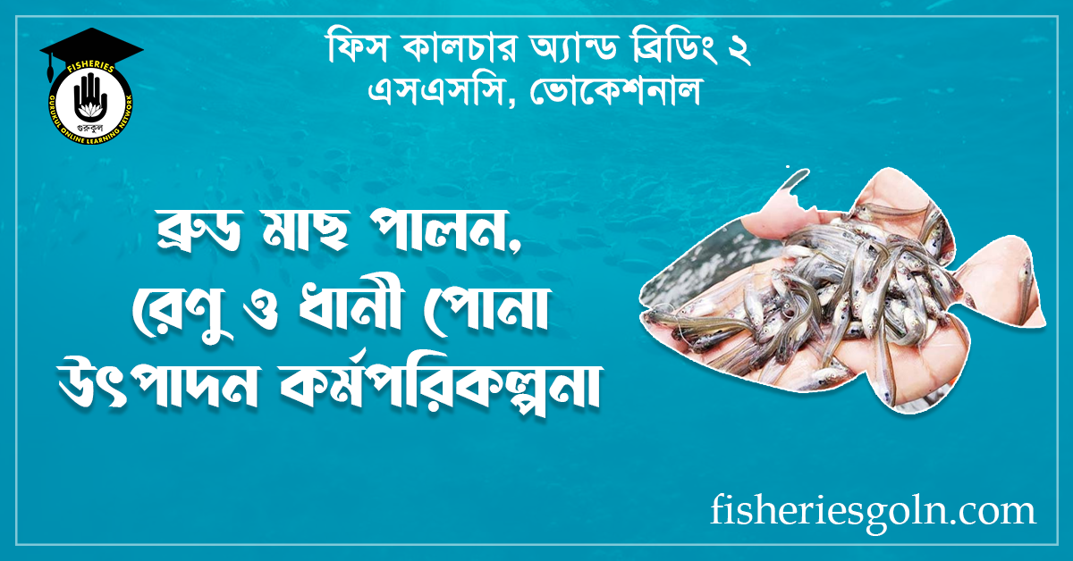 ব্রুড মাছ পালন, রেণু ও ধানী পোনা উৎপাদন পরিকল্পনা
