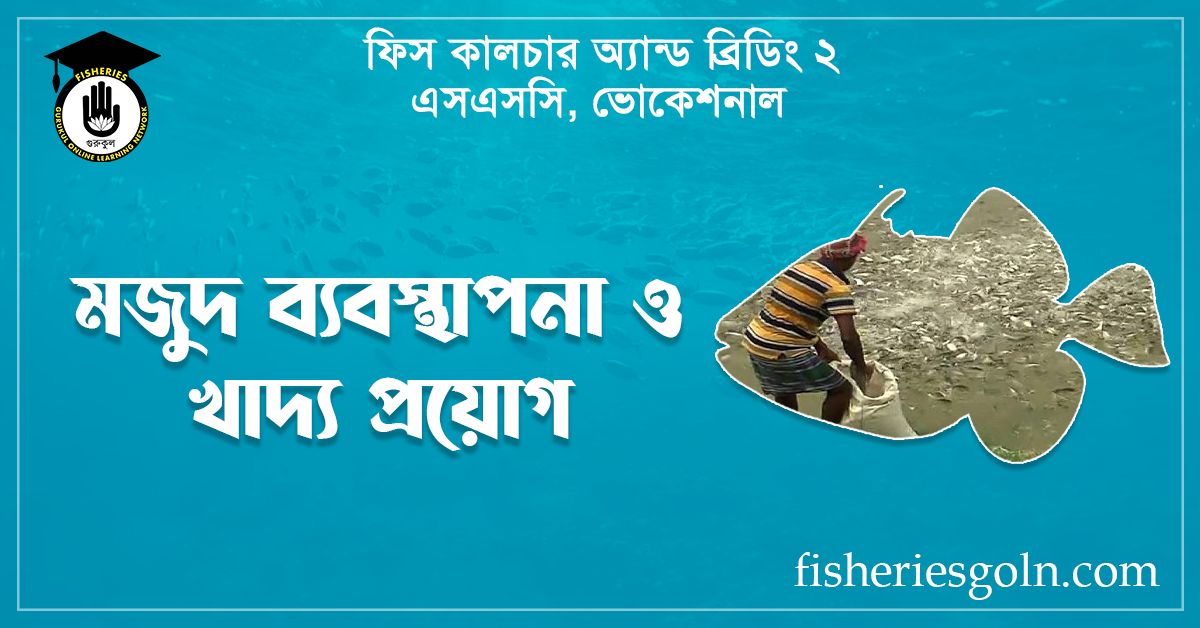 মজুদ ব্যবস্থাপনা ও খাদ্য প্রয়োগ