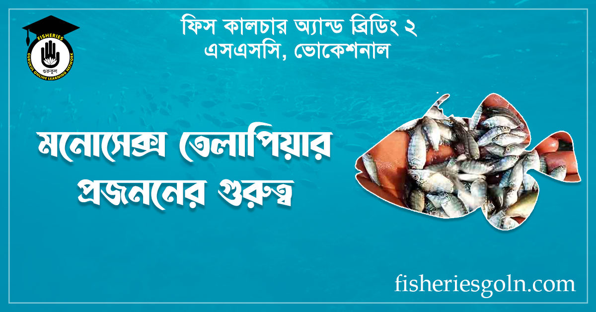 মনোসেক্স তেলাপিয়ার প্রজননের গুরুত্ব