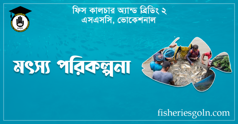 মৎস্য পরিকল্পনা 