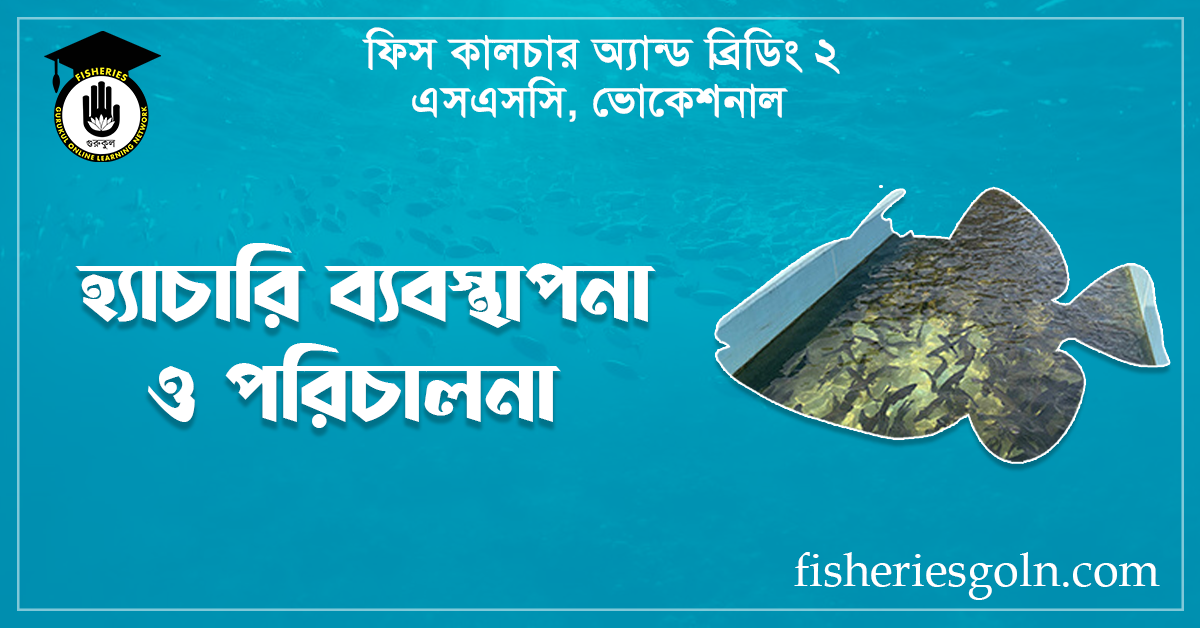 হ্যাচারি ব্যবস্থাপনা ও পরিচালনা