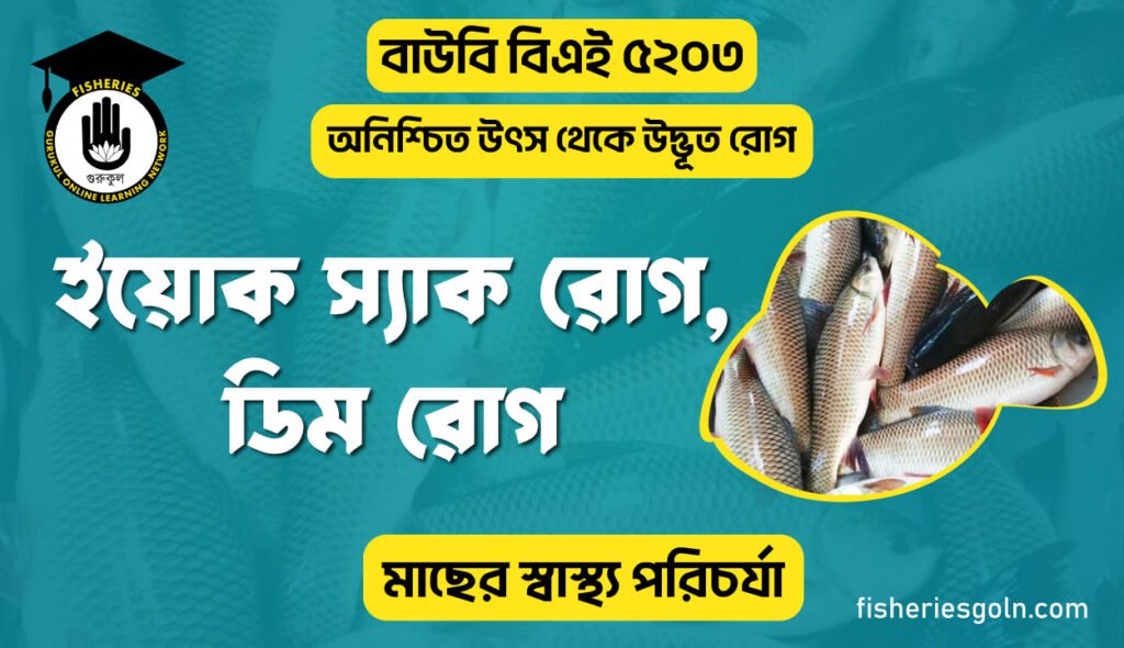 ইয়োক-স্যাক-রোগ,-ডিম-রোগ