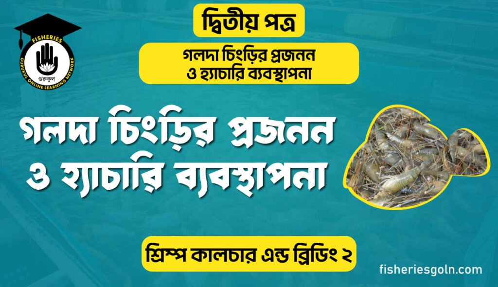 গলদা চিংড়ির প্রজনন ও হ্যাচারি ব্যবস্থাপনা | অধ্যায়-৪র্থ | শ্রিম্প কালচার এন্ড ব্রিডিং-২