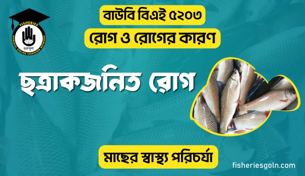 ছত্রাকজনিত রোগ