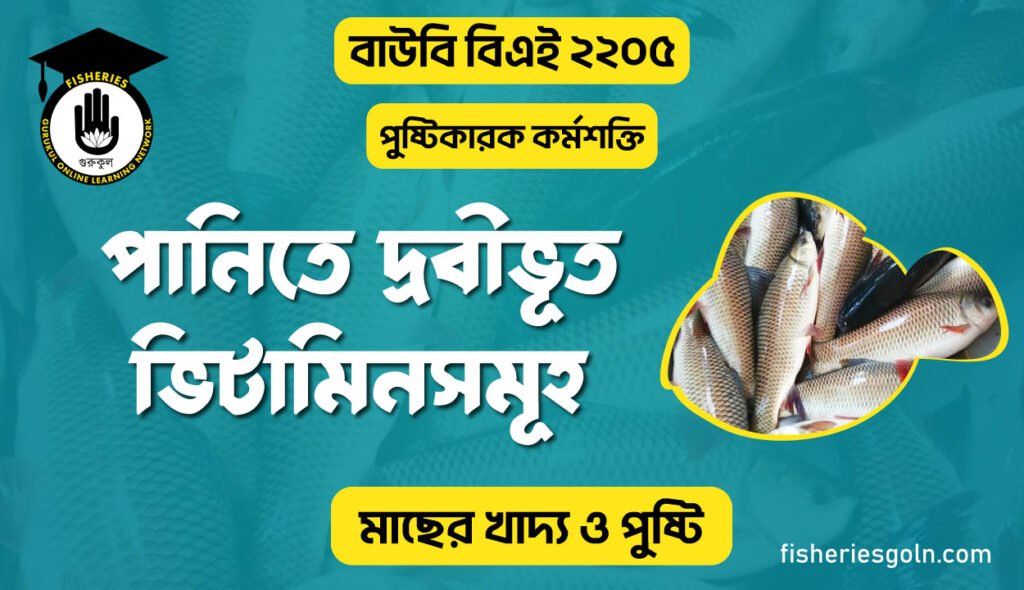 পানিতে দ্রবীভূত ভিটামিনসমূহ