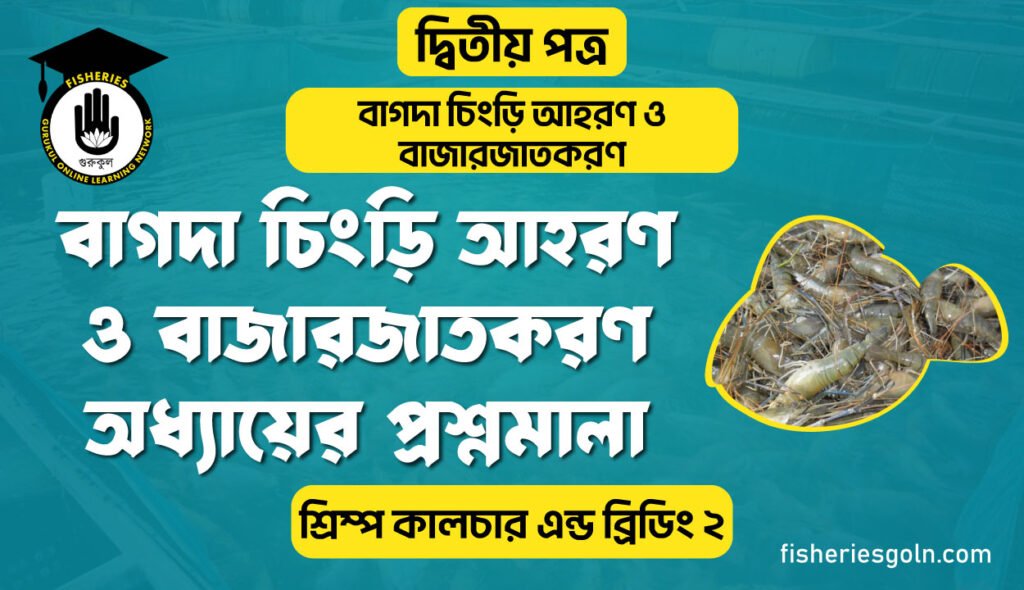 বাগদা চিংড়ি আহরণ ও বাজারজাতকরণ অধ্যায়ের প্রশ্নমালা | অধ্যায়-১ | শ্রিম্প কালচার এন্ড ব্রিডিং-২
