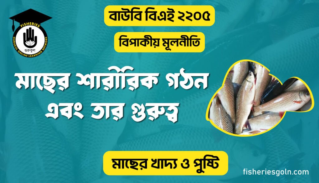 মাছের শারীরিক গঠন এবং তার গুরুত্ব