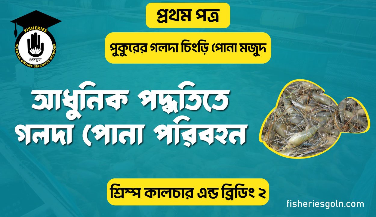 আধুনিক পদ্ধতিতে গলদা পোনা পরিবহন | অধ্যায়-৫ | শ্রিম্প কালচার এন্ড ব্রিডিং-২