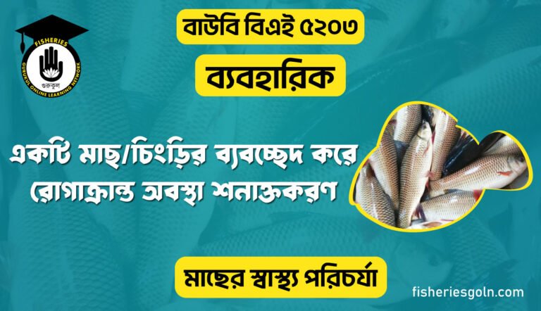 চিংড়ির ব্যবচ্ছেদ করে রোগাক্রান্ত অবস্থা শনাক্তকরণ