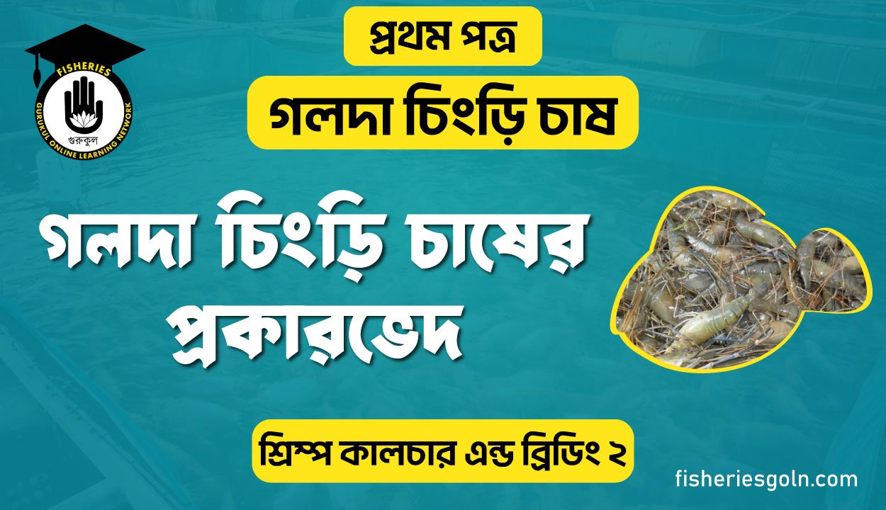 গলদা চিংড়ি চাষের প্রকারভেদ | অধ্যায়-২ | শ্রিম্প কালচার এন্ড ব্রিডিং-২