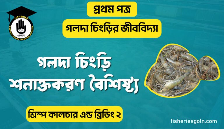 গলদা চিংড়ি শনাক্তকরণ বৈশিষ্ট্য