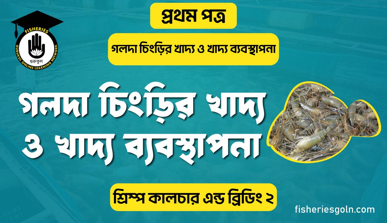 গলদা চিংড়ির খাদ্য ও খাদ্য ব্যবস্থাপনা | অধ্যায়-৭ | শ্রিম্প কালচার এন্ড ব্রিডিং-২