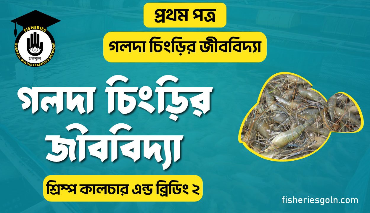 গলদা চিংড়ির জীববিদ্যা