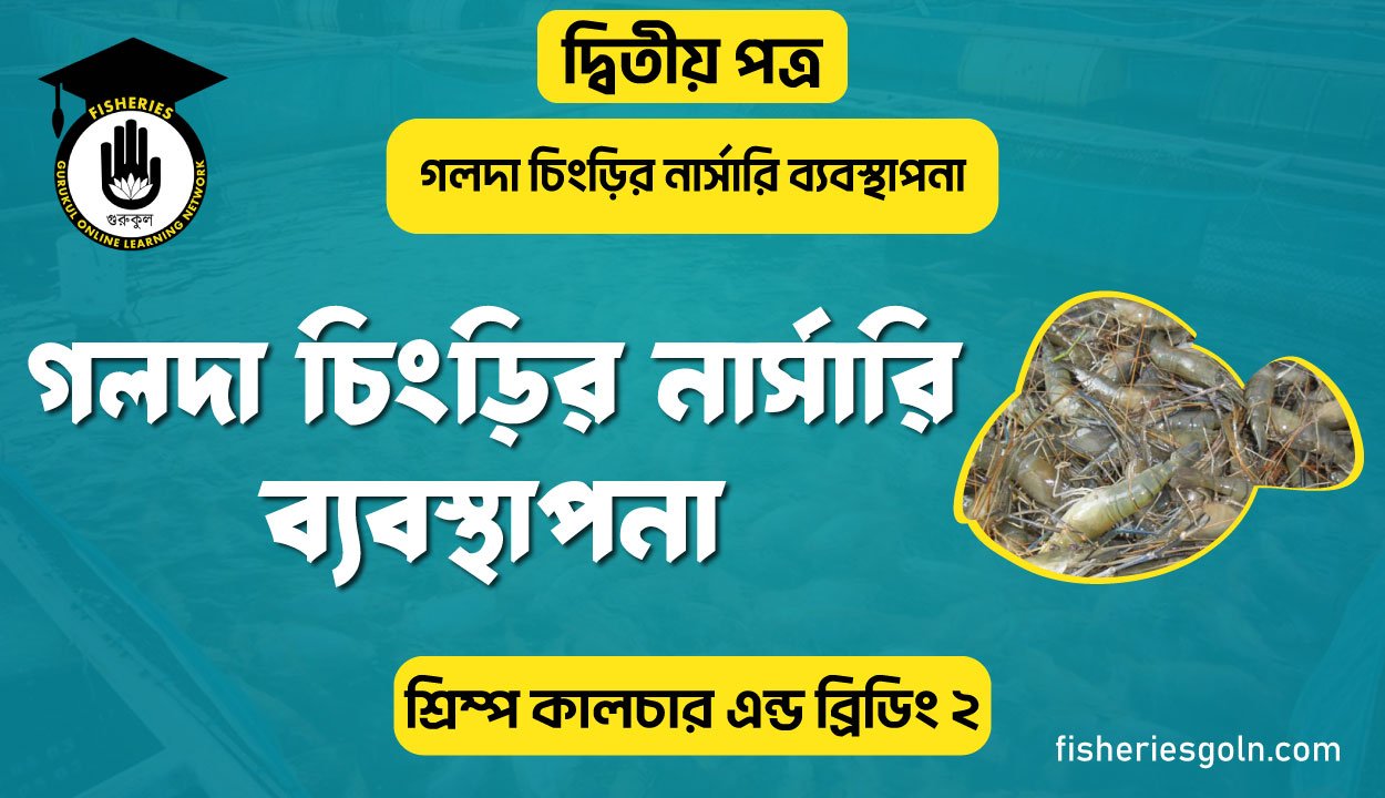 গলদা চিংড়ির নার্সারি ব্যবস্থাপনা | অধ্যায়-৪র্থ | শ্রিম্প কালচার এন্ড ব্রিডিং-২