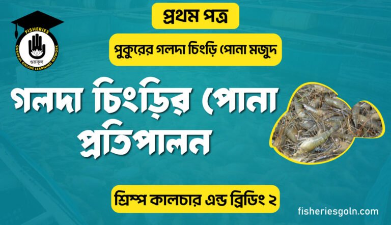 গলদা চিংড়ির পোনা প্রতিপালন | অধ্যায়-৫ | শ্রিম্প কালচার এন্ড ব্রিডিং-২