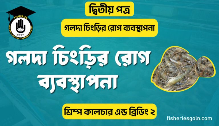 গলদা চিংড়ির রোগ ব্যবস্থাপনা | অধ্যায়-৬ষ্ঠ | শ্রিম্প কালচার এন্ড ব্রিডিং-২