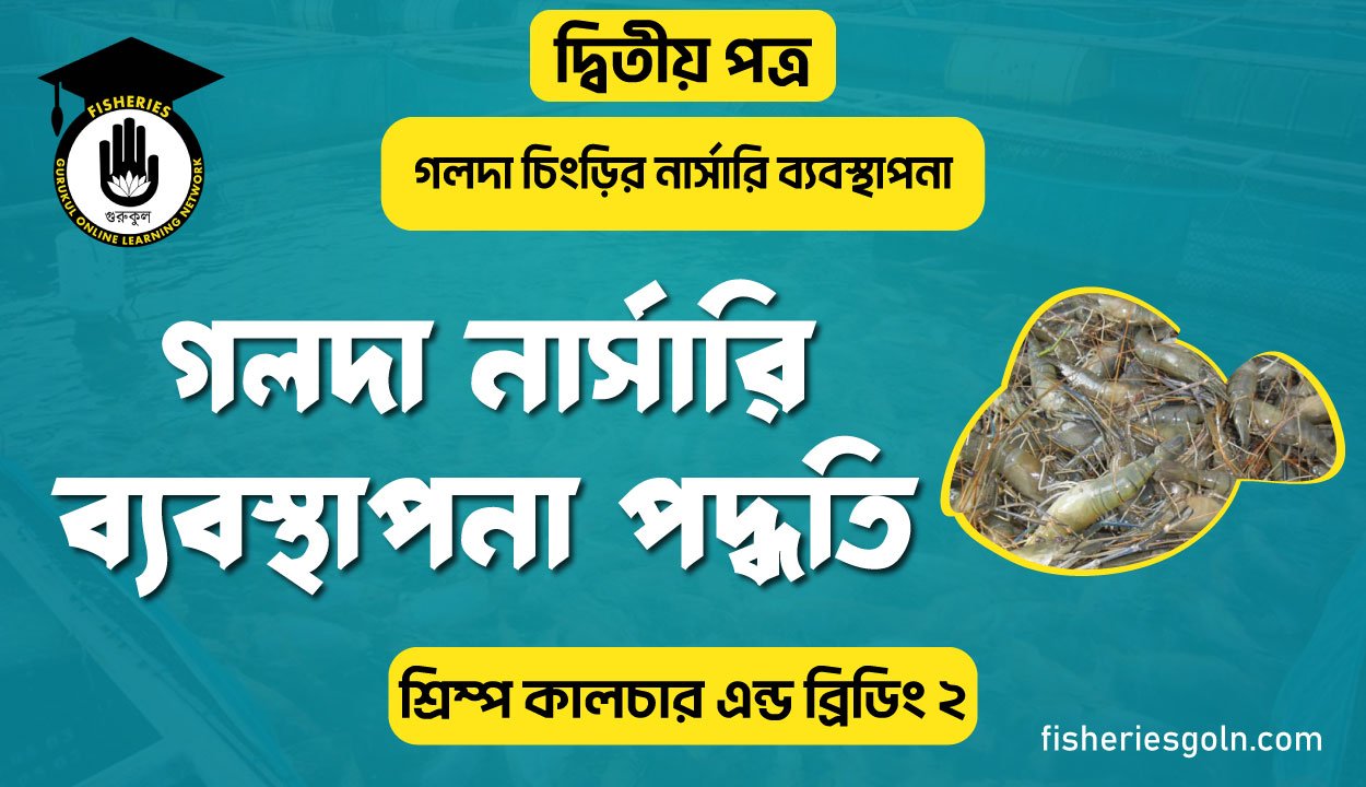 গলদা নার্সারি ব্যবস্থাপনা পদ্ধতি | অধ্যায়-৪র্থ | শ্রিম্প কালচার এন্ড ব্রিডিং-২