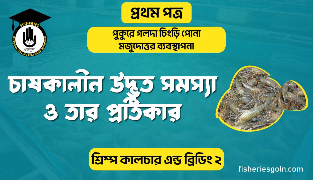 চাষকালীন উদ্ভূত সমস্যা ও তার প্রতিকার | অধ্যায়-৬ | শ্রিম্প কালচার এন্ড ব্রিডিং-২