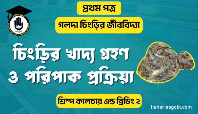 চিংড়ির খাদ্য গ্রহণ ও পরিপাক প্রক্রিয়া | অধ্যায়-১ | শ্রিম্প কালচার এন্ড ব্রিডিং-২