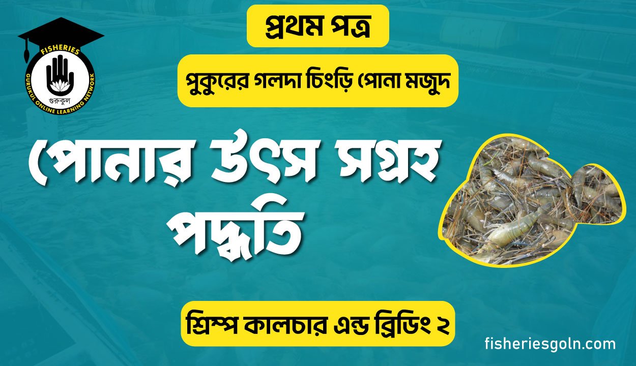 পোনার উৎস সগ্রহ পদ্ধতি | অধ্যায়-৫ | শ্রিম্প কালচার এন্ড ব্রিডিং-২