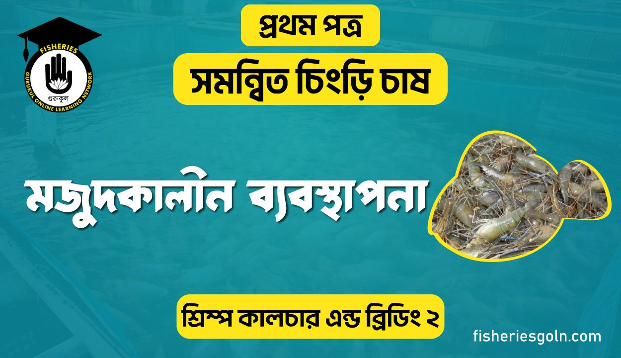 মজুদকালীন ব্যবস্থাপনা | অধ্যায়-৮ | শ্রিম্প কালচার এন্ড ব্রিডিং-২