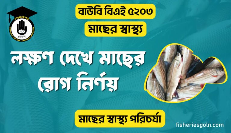 লক্ষণ দেখে মাছের রোগ নির্ণয়