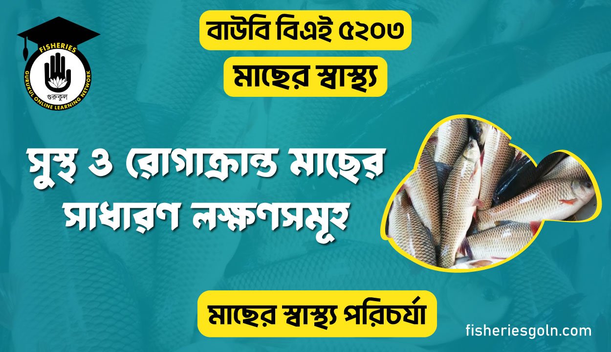 সুস্থ ও রোগাক্রান্ত মাছের সাধারণ লক্ষণসমূহ