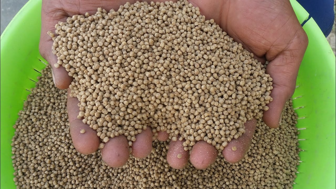 খাদ্য গ্রহণ ও সক্রিয়তার আরোপিত প্রভাব