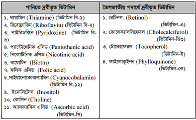 ভিটামিন, দার্শনিক মতবাদ, ঐতিহাসিক পটভূমিকা