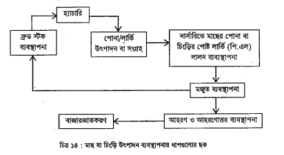রোগ প্রতিরোধের উদ্দেশ্য, দমন ও প্রতিরোধের নিয়মাবলী